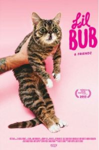 Lil Bub & Friendz