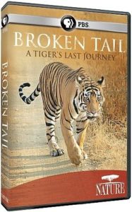 NATURE: Broken Tail: A Tiger’s Last Journey