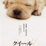 Quill: The Life of a Guide Dog