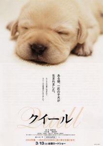 Quill: The Life of a Guide Dog