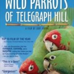 The Wild Parrots of Telegraph Hill (2003)