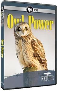 NATURE: Owl Power