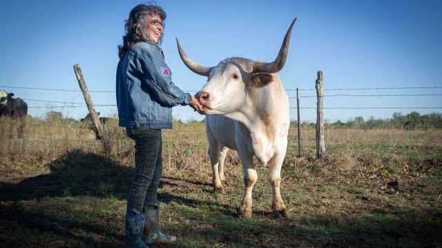 Hot Docs 2023: Qs à la mode with… Jason Goldman (<em>Rowdy Girl</em>)
