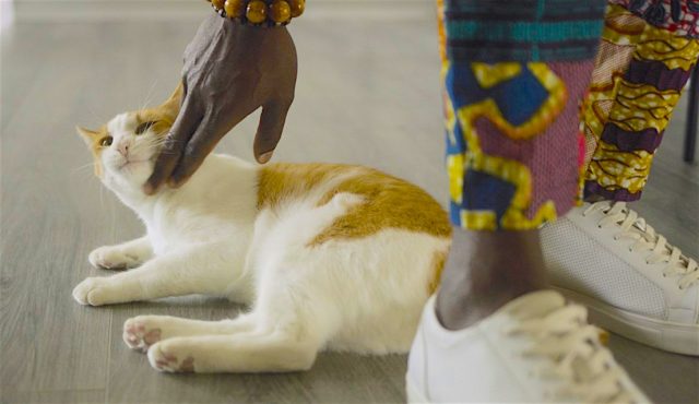 Hot Docs 2023 #2: Six Shorts We’re Psyched to Check Out!