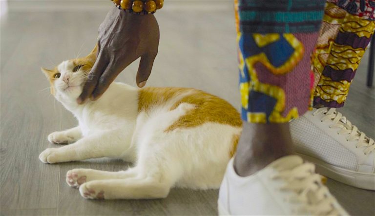 Hot Docs 2023 #2: Six Shorts We’re Psyched to Check Out!