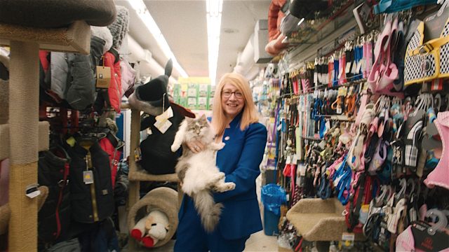 Hot Docs 2024: Qs à la mode with… Todd Beiber (<em>American Cats: The Good, the Bad, and the Cuddly</em>)