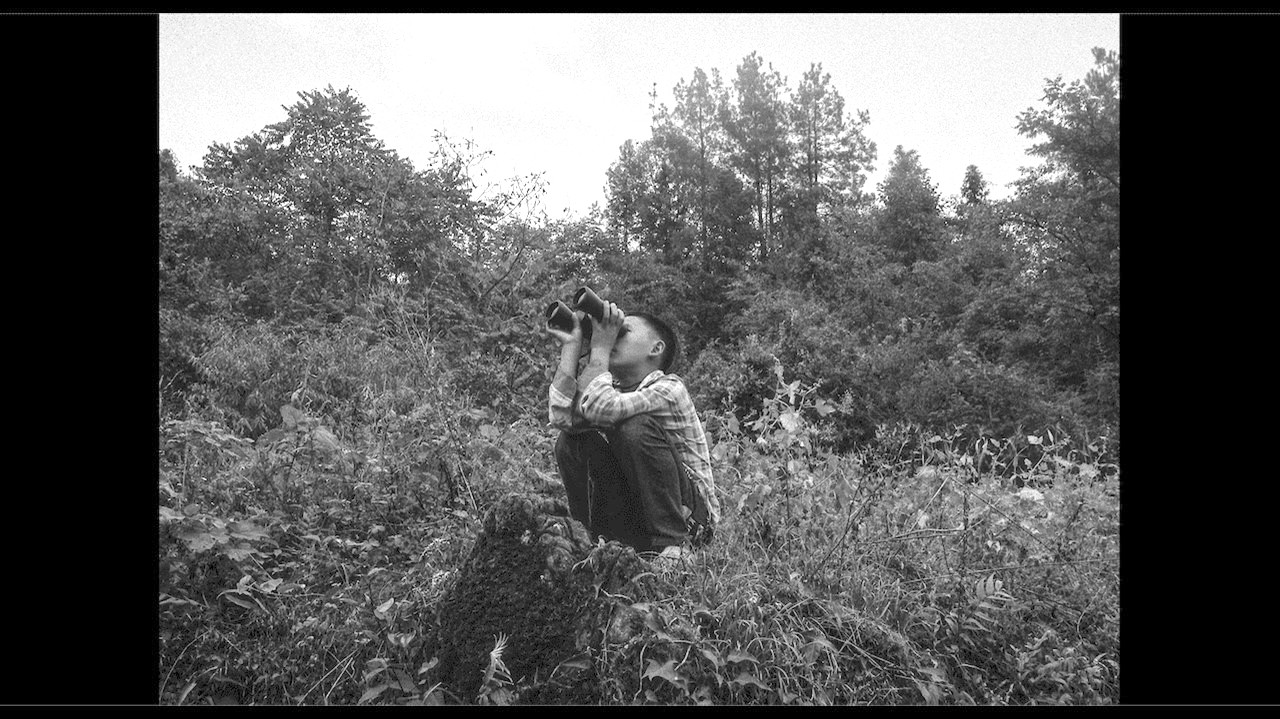 Hot Docs 2025 #11: The Rest