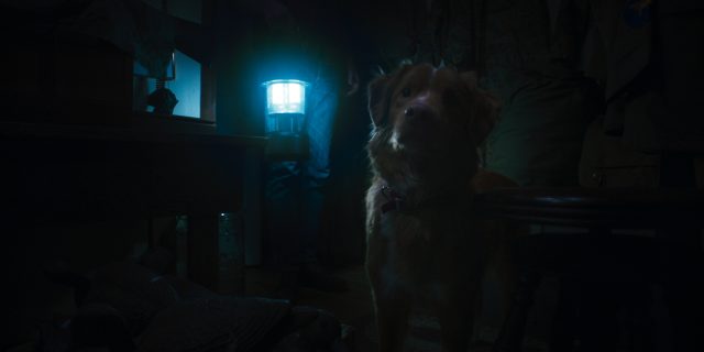 Good Boy (2025)
