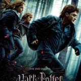 Harry Potter and the Deathly Hallows: Part 1 (2010)