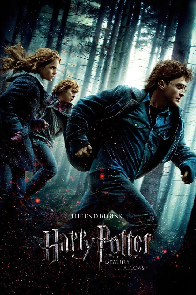 Harry Potter and the Deathly Hallows: Part 1 (2010)