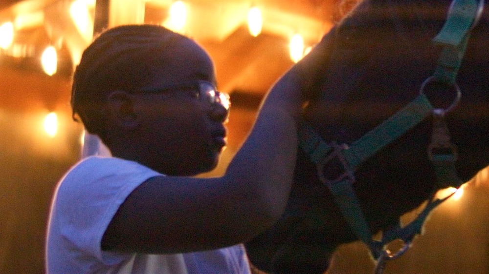 Hot Docs 2026 #4: Six Superb Must-see Short Films at the Fest!
