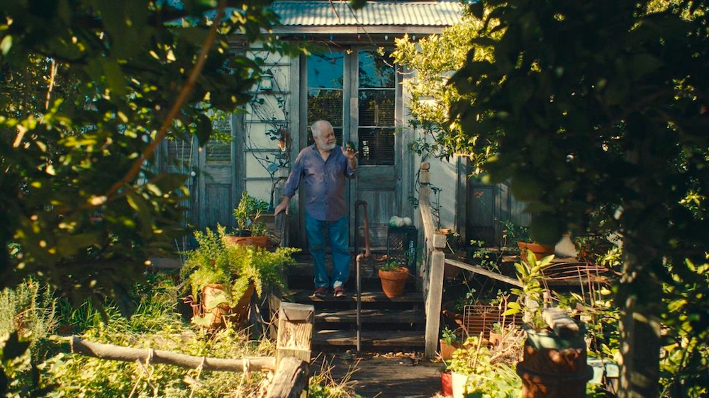 Hot Docs 2026 #4: Six Superb Must-see Short Films at the Fest!